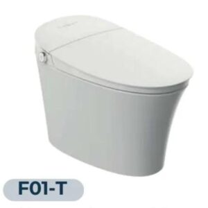 Sanitario Inteligente F01-t