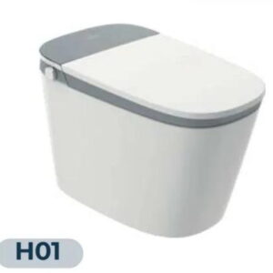 Sanitario Inteligente R&T H01